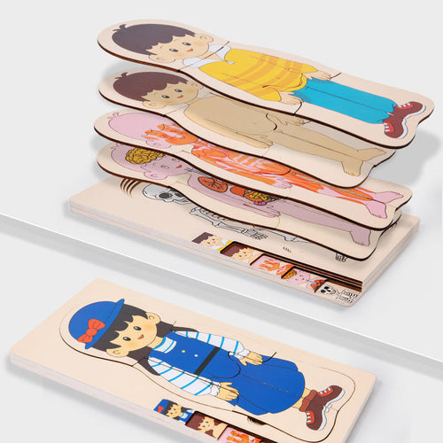 Human Body Layered Wooden Puzzle