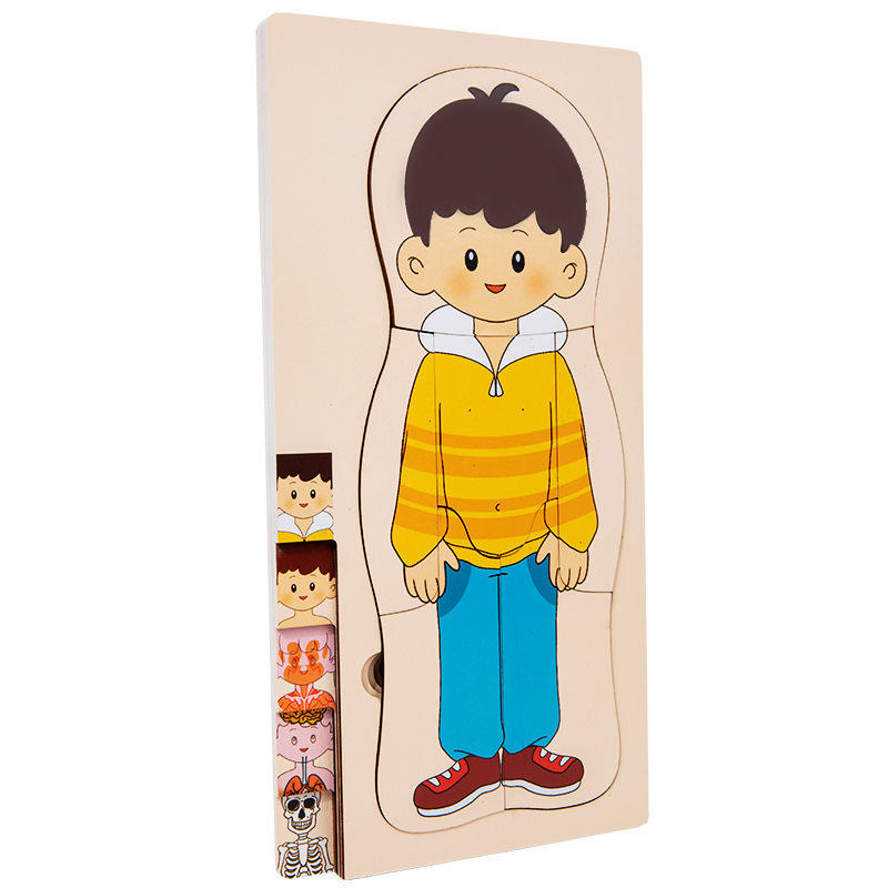 Human Body Layered Wooden Puzzle