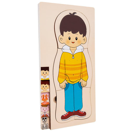 Human Body Layered Wooden Puzzle