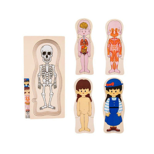 Human Body Layered Wooden Puzzle