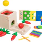 Wooden Montessori 5 In 1 Coin Toy